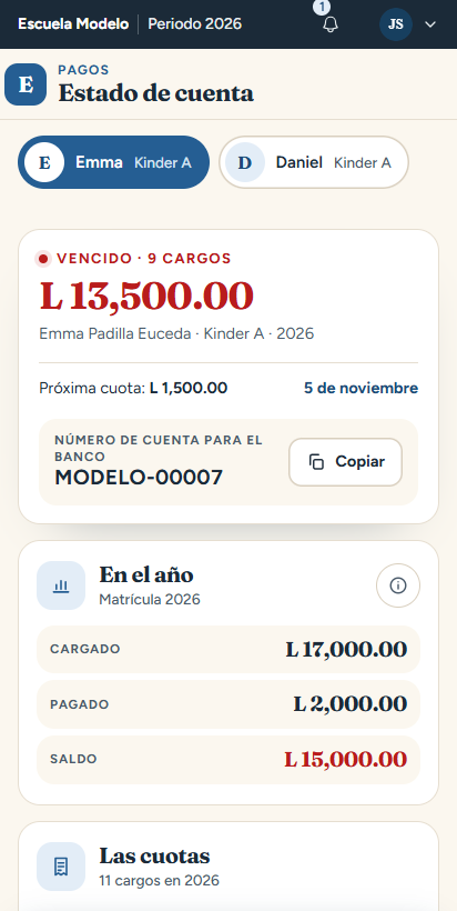 Estado de cuenta del perfil encargado en el teléfono